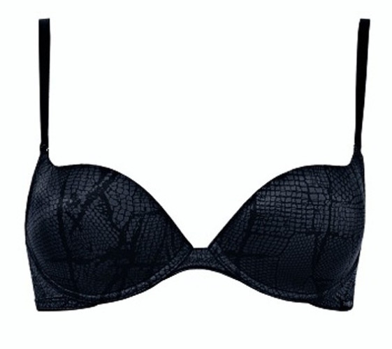 Triumph Party Curves WHPM